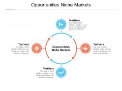 Opportunities niche markets ppt powerpoint presentation layouts styles cpb