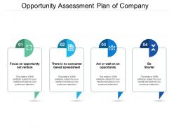 Opportunity assessment plan of company