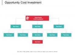 Opportunity cost investment ppt powerpoint presentation styles portrait cpb