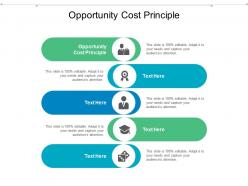 Opportunity cost principle ppt powerpoint presentation visual aids inspiration cpb