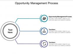 Opportunity management process ppt powerpoint presentation gallery professional cpb