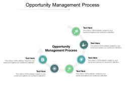 Opportunity management process ppt powerpoint presentation model grid cpb