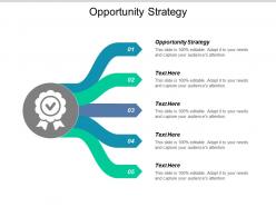 Opportunity strategy ppt powerpoint presentation styles graphics design cpb
