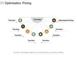 Optimization pricing ppt powerpoint presentation show cpb