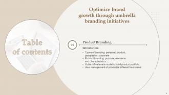 Optimize Brand Growth Through Umbrella Branding Initiatives Branding CD V Informative Idea