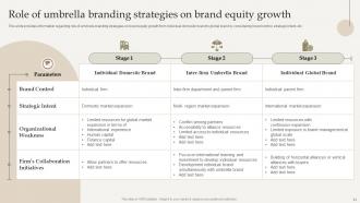 Optimize Brand Growth Through Umbrella Branding Initiatives Branding CD V Compatible Image