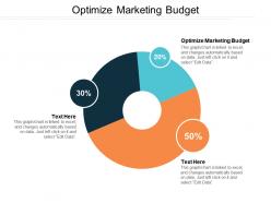 Optimize marketing budget ppt powerpoint presentation file example introduction cpb