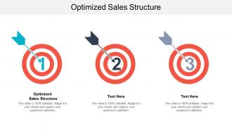 Optimized sales structure ppt powerpoint presentation file professional cpb
