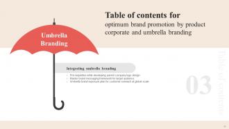 Optimum Brand Promotion By Product Corporate And Umbrella Branding CD V Pre-designed Best
