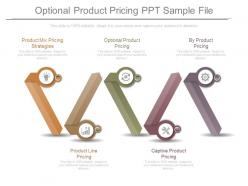 Optional product pricing ppt sample file