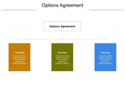 Options agreement ppt powerpoint presentation portfolio themes cpb
