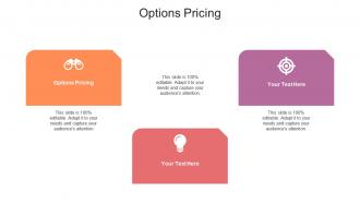 Options pricing ppt powerpoint presentation professional example topics cpb