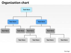 Oraganization chart 22 | PowerPoint Slide Images | PPT Design Templates ...
