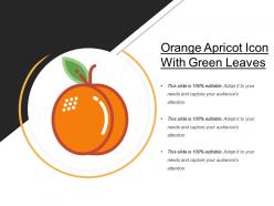 Orange apricot icon with green leaves