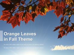 Orange leaves in fall theme