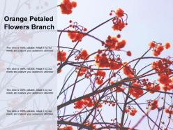 Orange Petaled Flowers Branch
