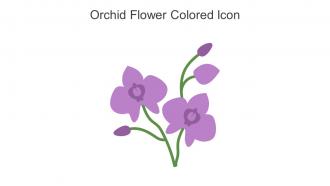 Orchid Flower Colored Icon In Powerpoint Pptx Png And Editable Eps Format