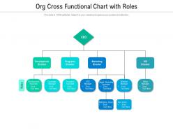 Org cross functional chart with roles