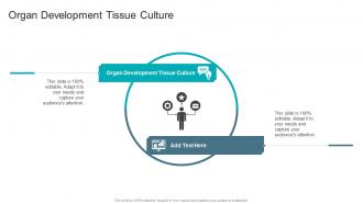 Organ Development Tissue Culture In Powerpoint And Google Slides Cpb