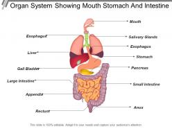Organ system showing mouth stomach and intestine