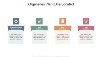 Organelles Plant Dna Located In Powerpoint And Google Slides Cpb