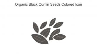 Organic Black Cumin Seeds Colored Icon In Powerpoint Pptx Png And Editable Eps Format