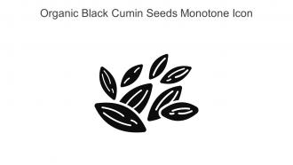 Organic Black Cumin Seeds Monotone Icon In Powerpoint Pptx Png And Editable Eps Format