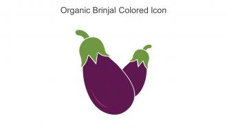 Organic Brinjal Colored Icon In Powerpoint Pptx Png And Editable Eps Format