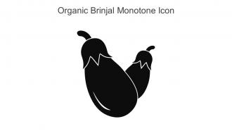 Organic Brinjal Monotone Icon In Powerpoint Pptx Png And Editable Eps Format