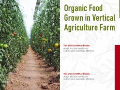 Organic Food Grown In Vertical Agriculture Farm