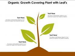 Organic growth covering plant with leafs