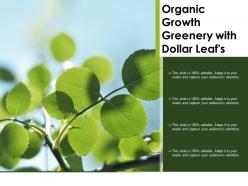 Organic growth greenery with dollar leafs