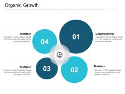 22289869 style cluster mixed 4 piece powerpoint presentation diagram infographic slide