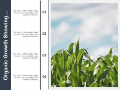 Organic growth showing image corn field