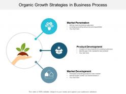 Organic growth strategies in business process