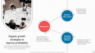 Organic Growth Strategies To Improve Profitability Business Improvement Strategies For Growth Strategy SS V