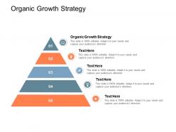 Organic growth strategy ppt powerpoint presentation styles smartart cpb