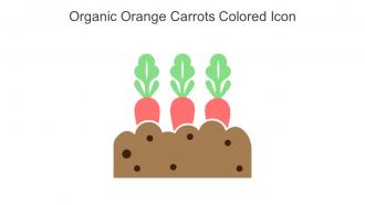 Organic Orange Carrots Colored Icon In Powerpoint Pptx Png And Editable Eps Format