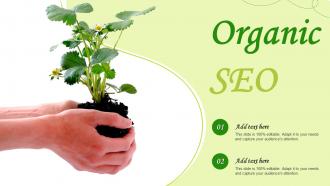 Organic Seo Ppt Powerpoint Presentation Infographics Grid