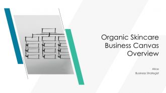 Organic Skincare Business Canvas PPT Information AT