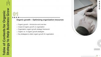 Organic Strategy To Help Business Grow Strategy CD