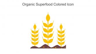 Organic Superfood Colored Icon In Powerpoint Pptx Png And Editable Eps Format