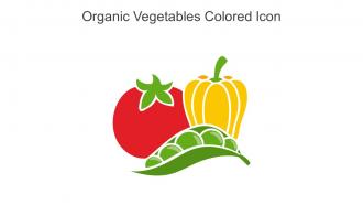 Organic Vegetables Colored Icon In Powerpoint Pptx Png And Editable Eps Format