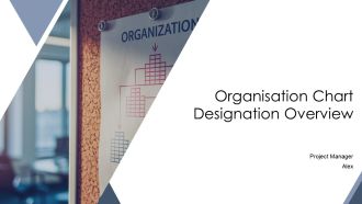 Organisation Chart Designation Overview PPT Demonstration AT