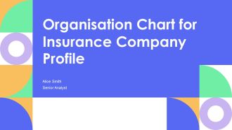 Organisation Chart For Insurance Company Profile PPT Sample AT