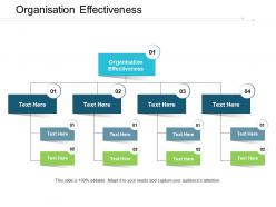 Organisation effectiveness ppt powerpoint presentation portfolio sample cpb