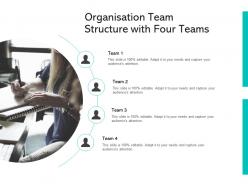 Organisation team structure with four teams