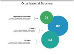 Organisational structure ppt powerpoint presentation icon deck cpb