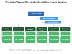 Organization assessment business development fiscal services operations
