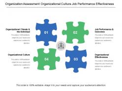 Organization assessment organizational culture job performance effectiveness